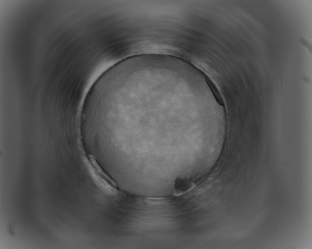 X0000095681152200801221220