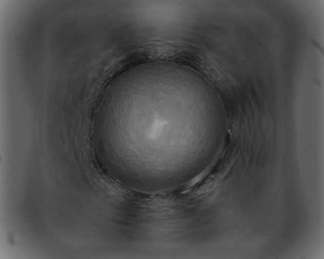 X0000095681153200801221220