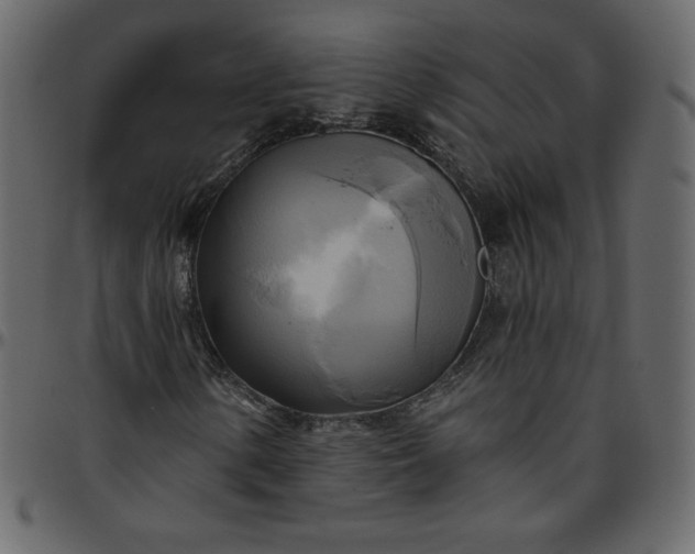 X0000095681154200801221220