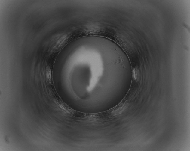 X0000095681155200801221220