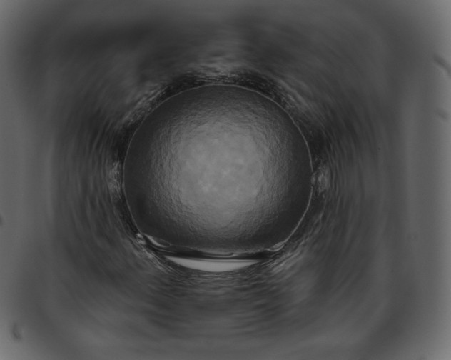 X0000095681156200801221220