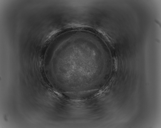 X0000095681157200801221220
