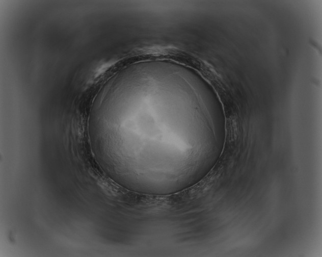 X0000095681158200801221220