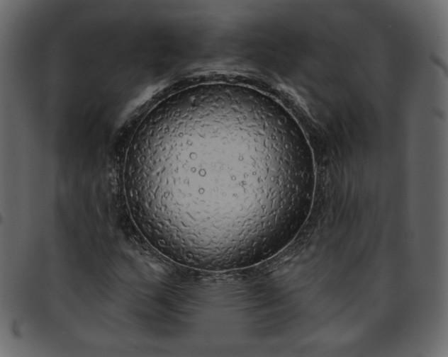 X0000095681159200801221220