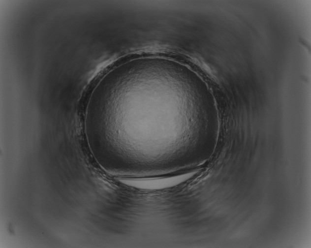 X0000095681160200801221220