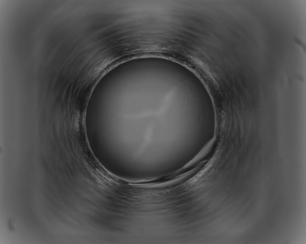 X0000095681161200801221220