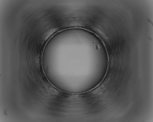 X0000095681162200801221220