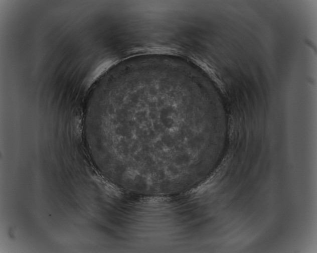 X0000095681163200801221220