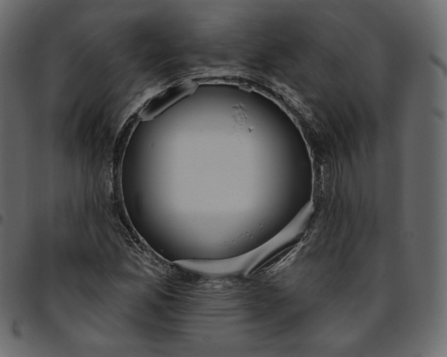 X0000095681165200801221220