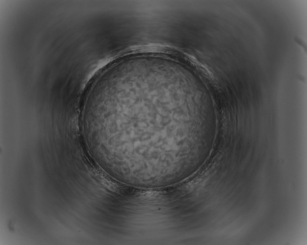 X0000095681166200801221220