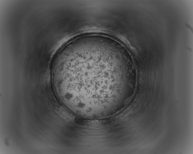 X0000095681167200801221220