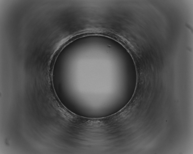 X0000095681168200801221220