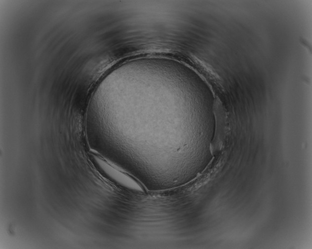 X0000095681169200801221219
