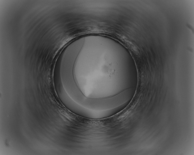 X0000095681170200801221219
