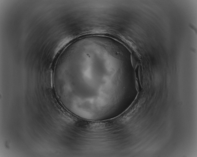 X0000095681171200801221219