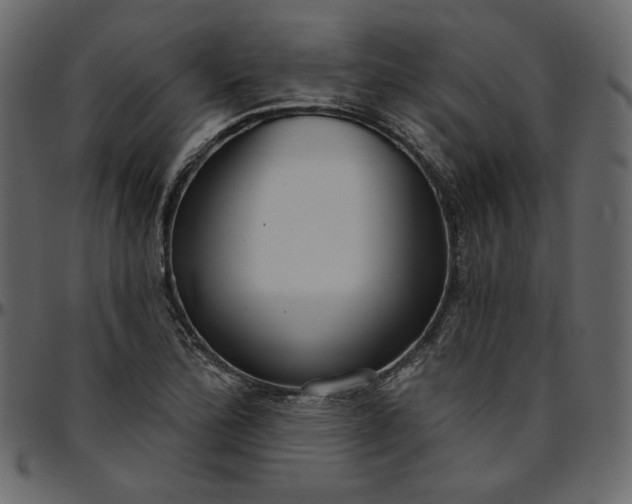 X0000095681172200801221219
