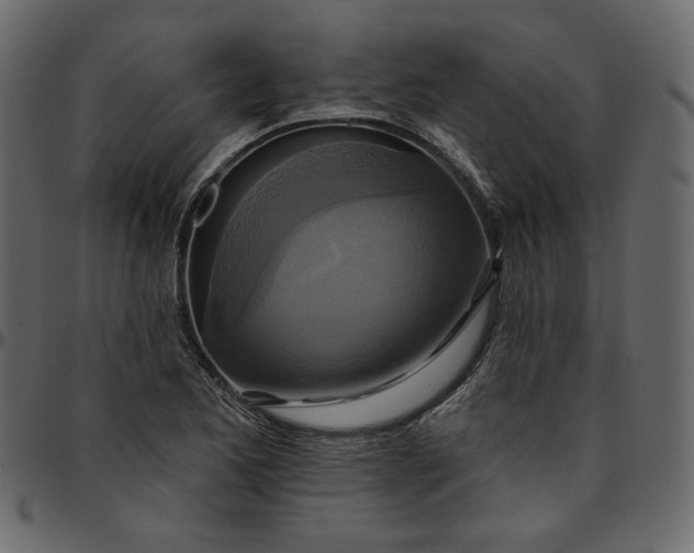 X0000095681173200801221219