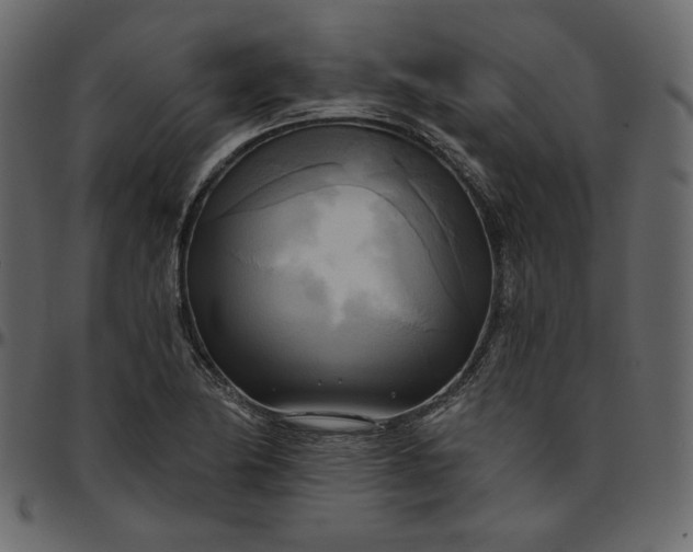 X0000095681174200801221219