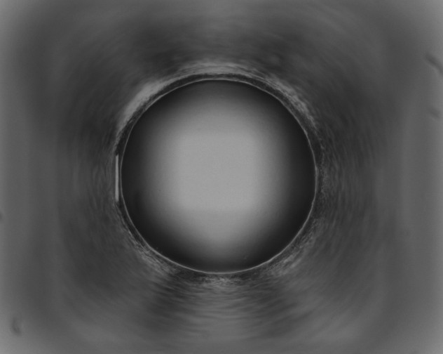 X0000095681175200801221219