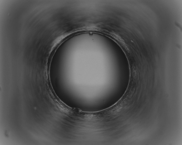 X0000095681176200801221219