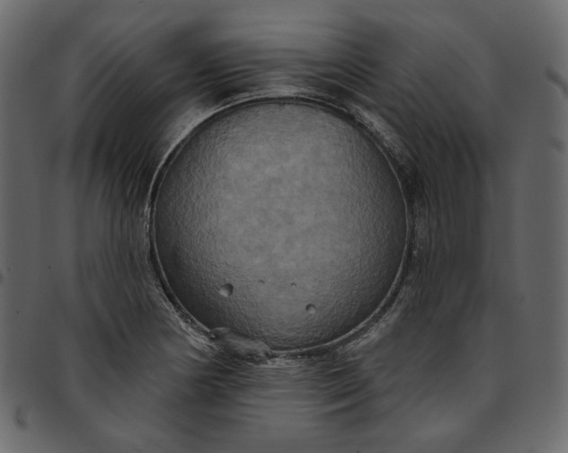 X0000095681178200801221219