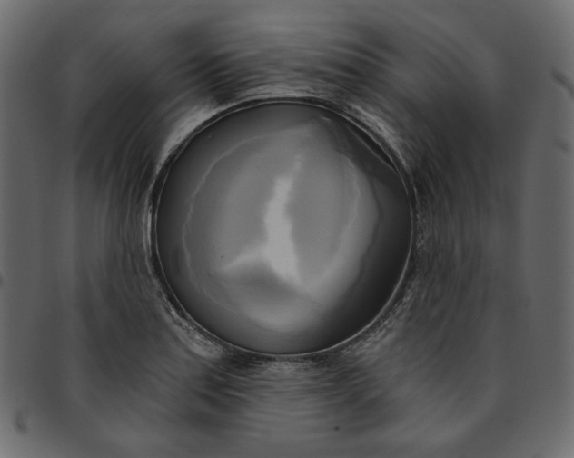 X0000095681179200801221219