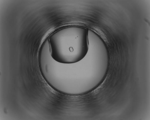 X0000095681180200801221219