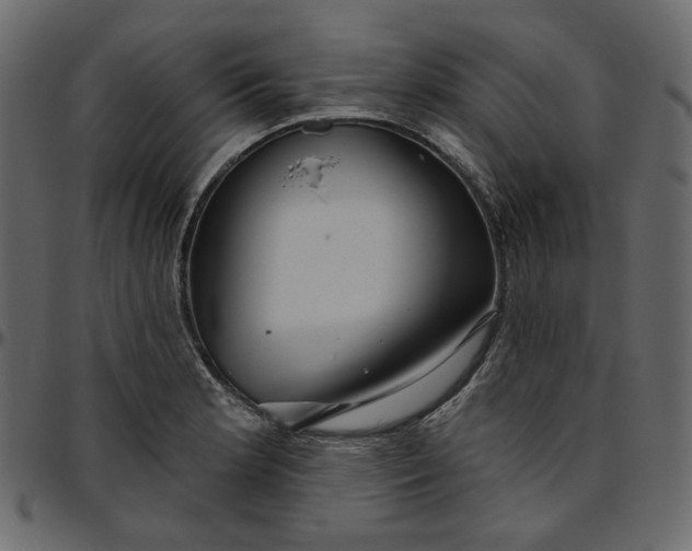 X0000095681181200801221219