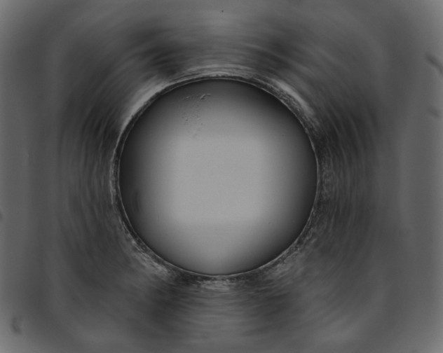 X0000095681182200801221219