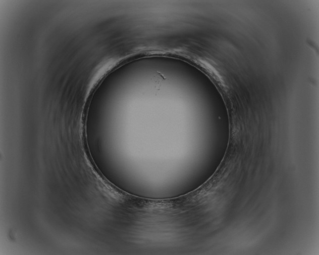 X0000095681183200801221219