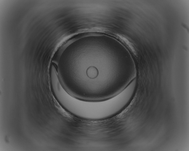 X0000095681184200801221219