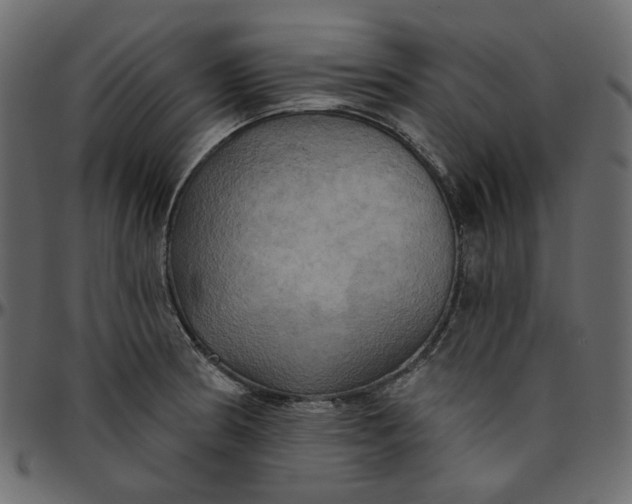 X0000095681186200801221219