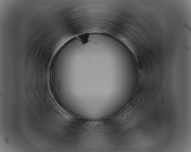 X0000095681187200801221219