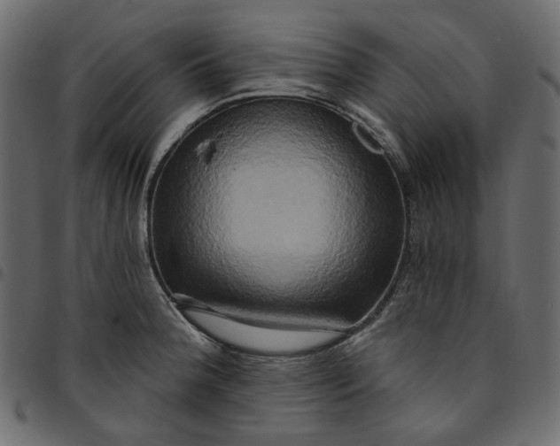 X0000095681188200801221219
