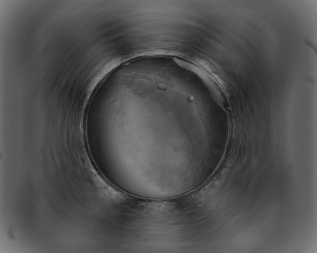 X0000095681189200801221219