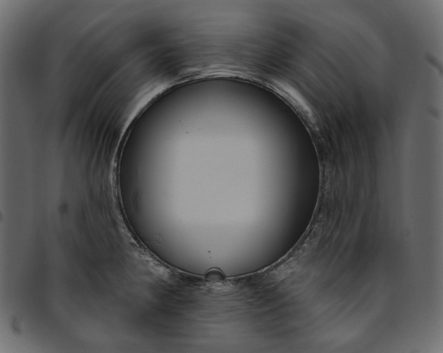 X0000095681190200801221219