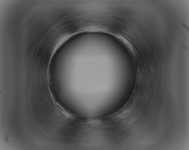 X0000095681191200801221219