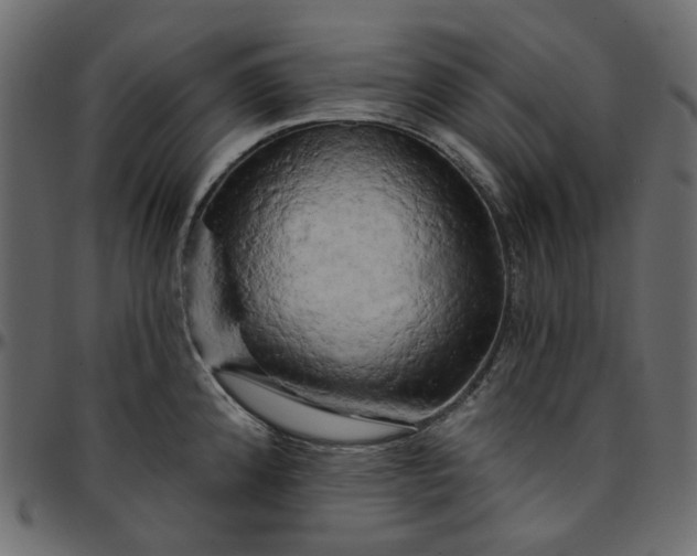 X0000095681192200801221219