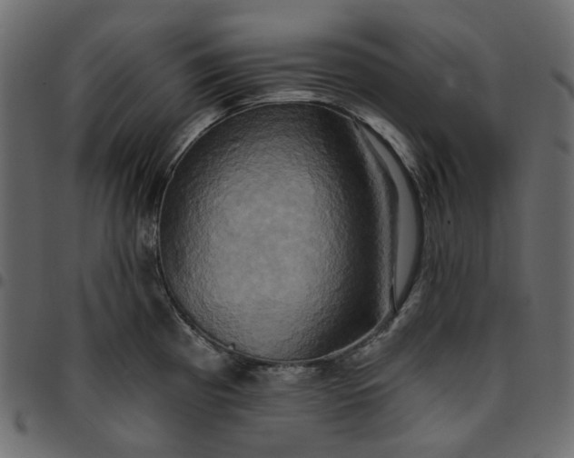 X0000095681193200801221219