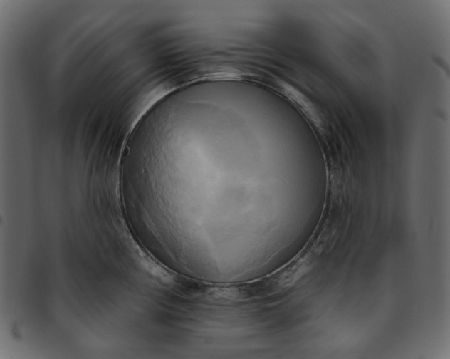 X0000095681194200801221219