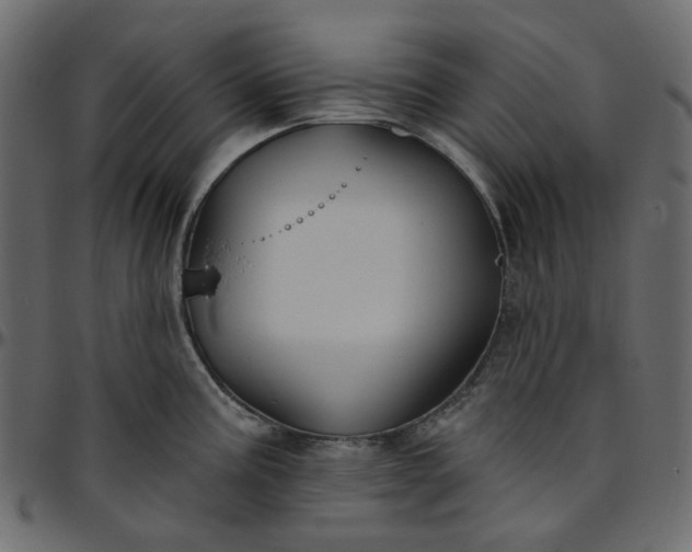 X0000095681195200801221219