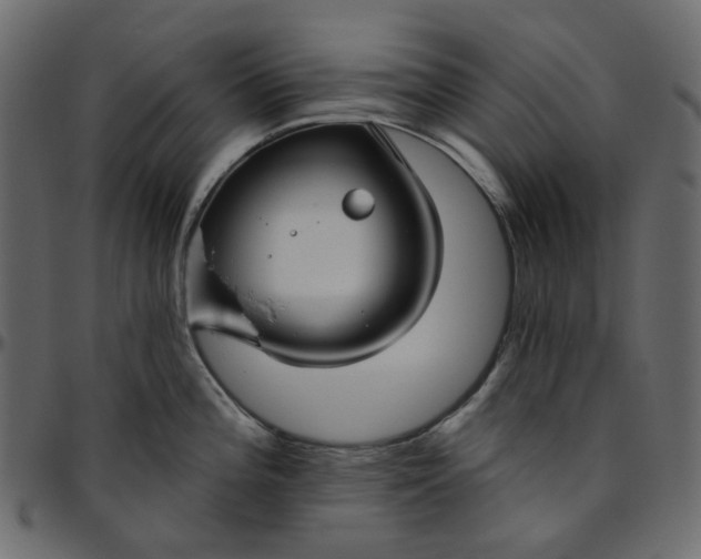 X0000095681196200801221219