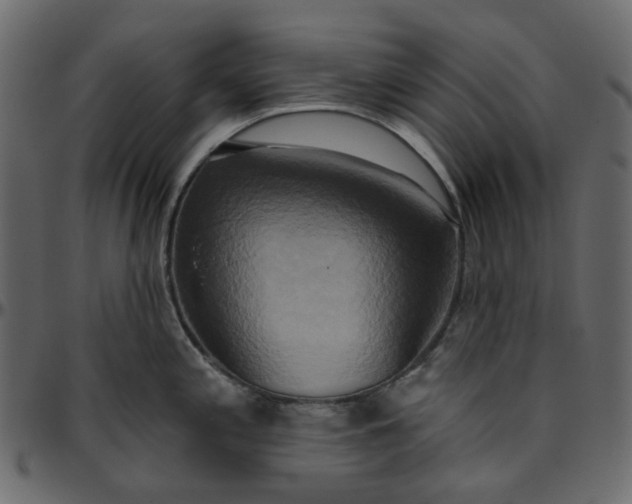 X0000095681197200801221219