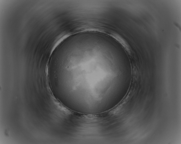X0000095681198200801221219