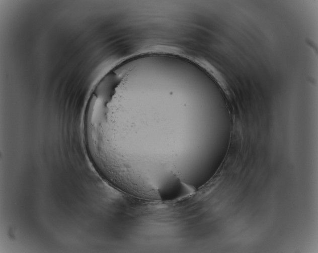 X0000095681199200801221219