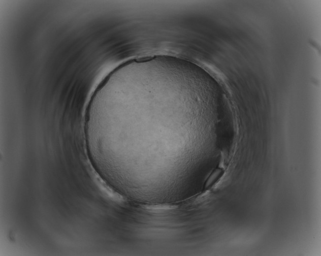 X0000095681200200801221219