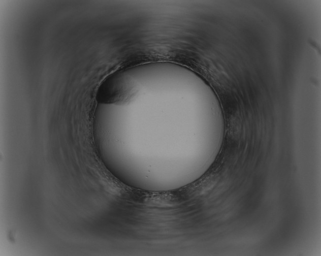 X0000095681201200801221218