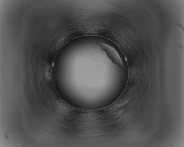 X0000095681202200801221218