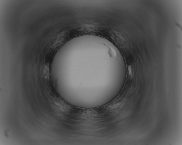 X0000095681203200801221218