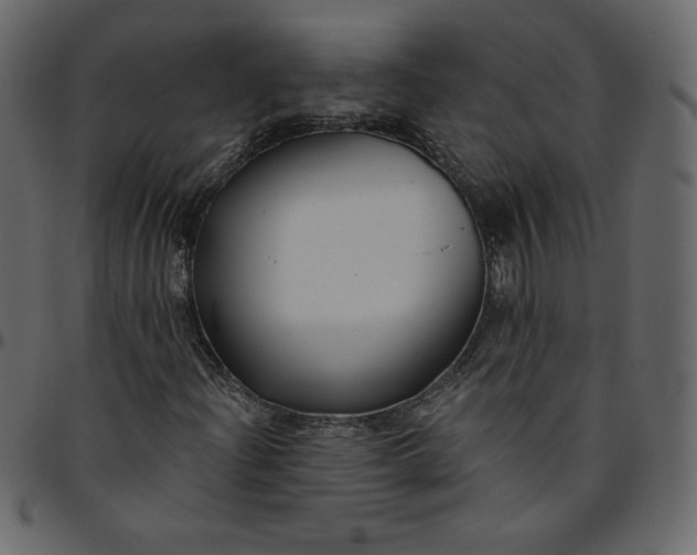 X0000095681204200801221218